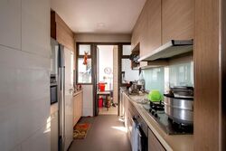 Parc Vera (D19), Condominium #583250811